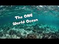[Geo 101] E24: The ONE World Ocean Explained: Earth's Deepest Secrets &amp; Hidden Underwater Landscapes