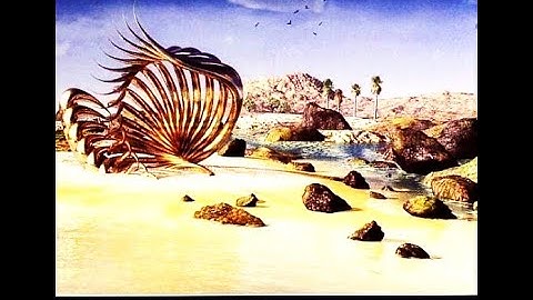 Audiomatrix - Variations (AP Records, 2008)