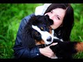 How to Make a Dog Smell Good How to Make a Dog Smell Good