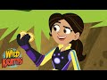 Salamander Adventure Quiz