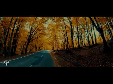 National Parks of Georgia საქართველოს ეროვნული პარკები   შემოდგომა საბადურის ტყეში