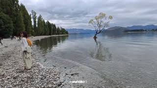 2026年2 Wanaka NZ