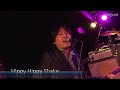 Hippy Hippy Shake/The Parrots - Beatles Tribute