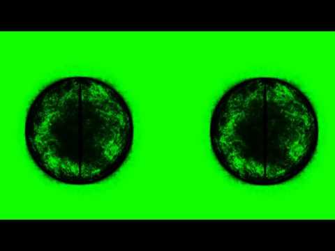 4K Green Screen Free - BURNING EYES