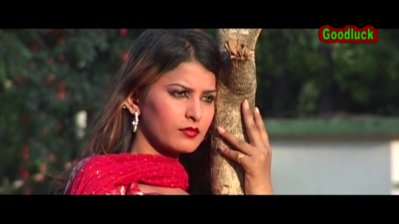 सोना की हंसली लायो । Mewati  HD Song । Umar Ali, Subnam chodhary mewati hits