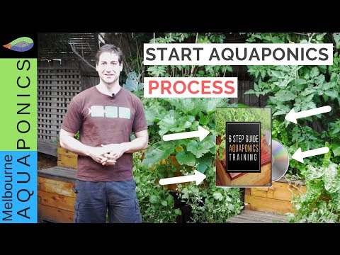 How To Start Your Aquaponics System Youtube