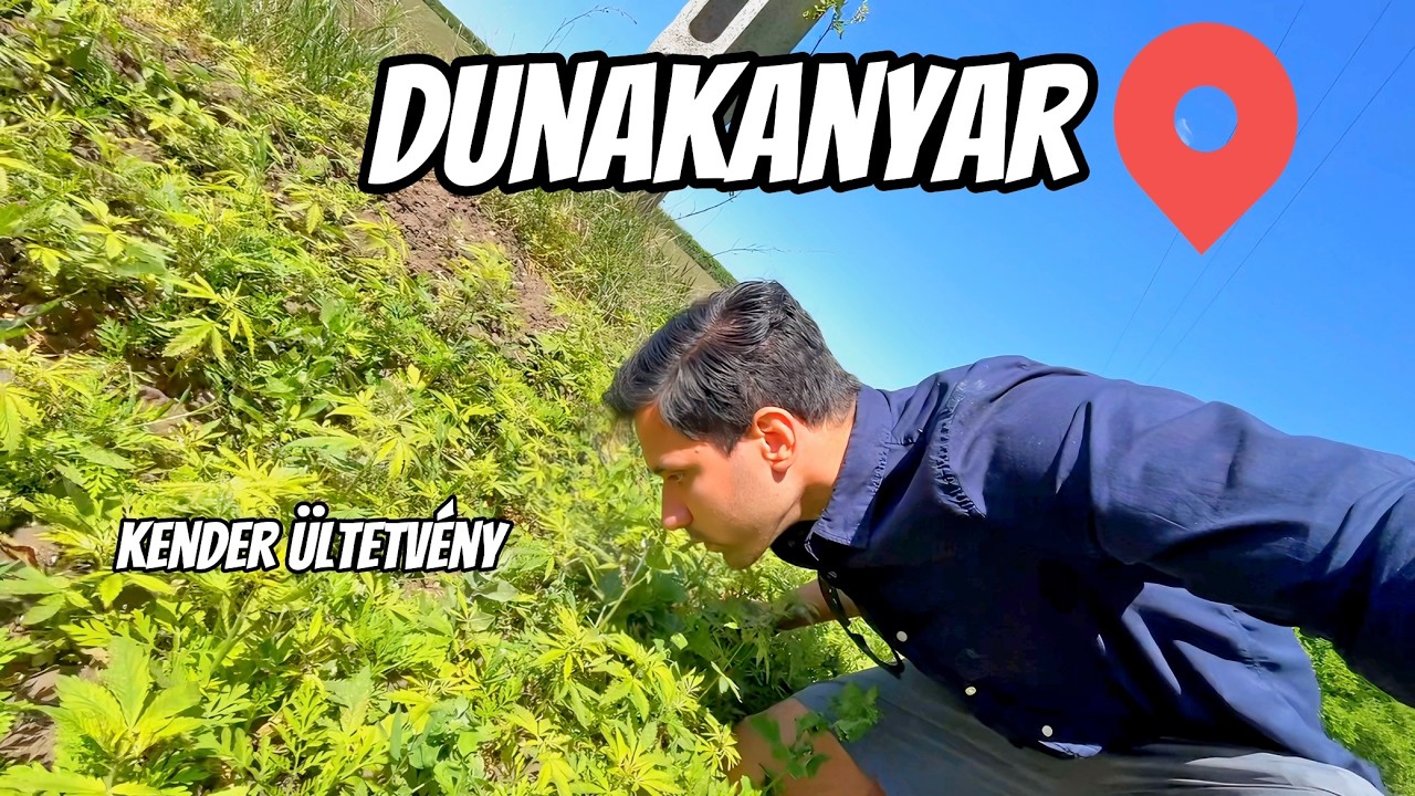 A Pilis nem olyan mint vártam