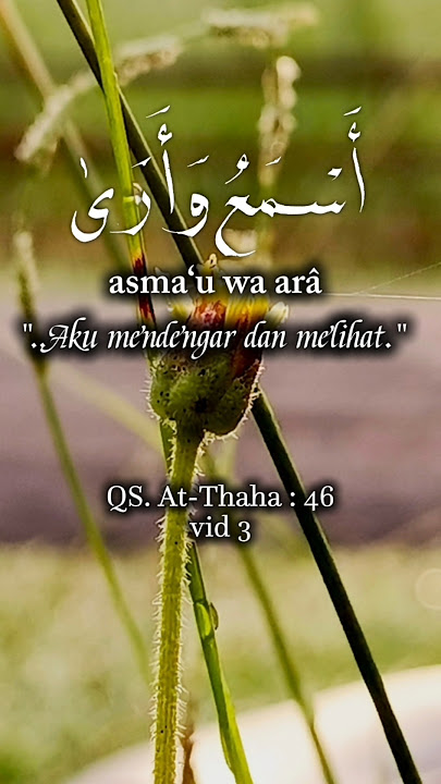 QS. At-Thaha : 46 