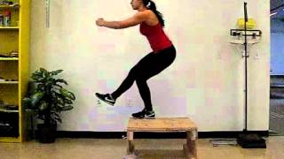 Sagittal Plane Single Leg Squat