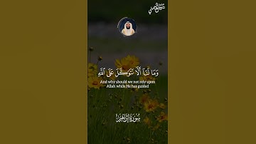 ومالنا ألا نتوكل على الله || الشيخ وديع اليمني تلاوة تلامس شغاف القلب 🤍🎧
