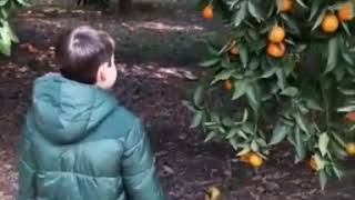VID 20201219 WA0003