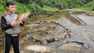 The orphan boy arranged rocks to block the stream to make a rotating trap to catch fish to sell