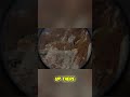 Ghost of Yotei Sniper Challenge - Long-Range Only #PepperMode #Quest