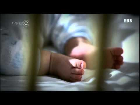 TV 다시보기   교육의 중심 EBS