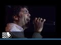 Seda, Willie González - En Vivo