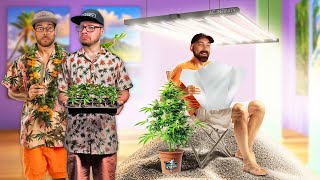 Pro Tips For Lighting Your Cannabis Plant Indoors | From The Stash: Highly Educational Ep. 16
