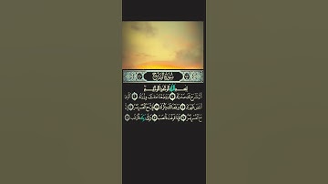 سورة الشرح علاء عقل