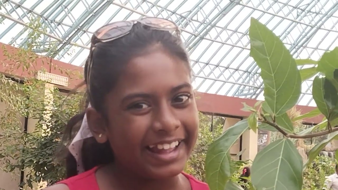butterfly park inside Bannerghatta zoo (M GANYA)
