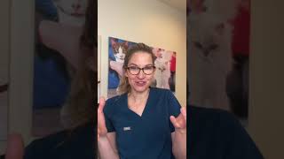 What should you feed your cat with kidney disease? Here is my holistic approach 😻