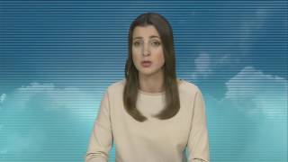 Infostudija 2017-01-31