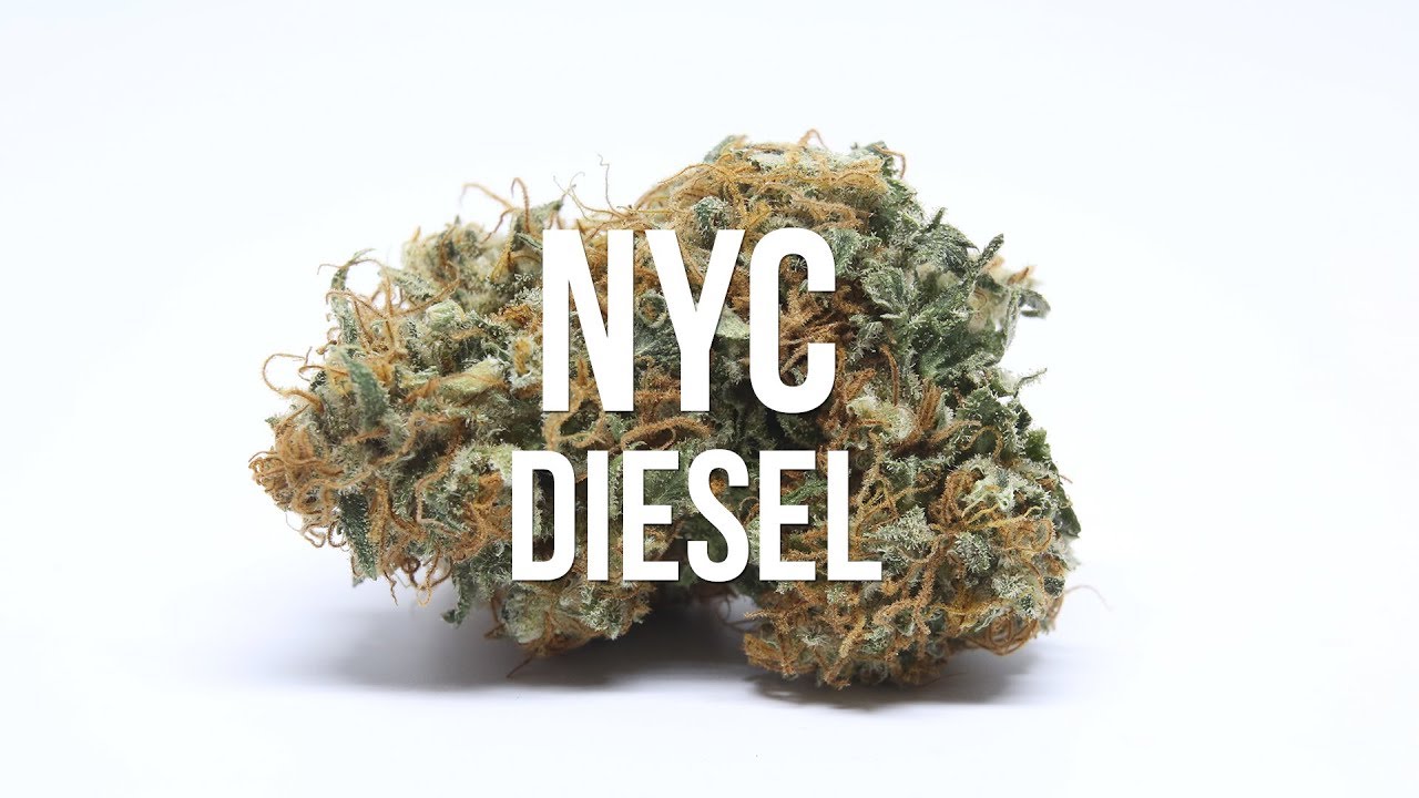 NYC Diesel Strain 