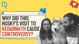 Find Out What a Visit to Kedarnath Cost This Noida Couple and Their Husky, Nawab | The Quint