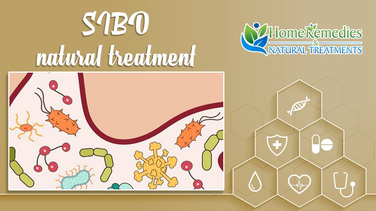 SIBO Natural Treatments Home Natural Treatment For SIBO Home