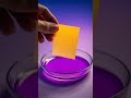Hidden Hues in a Lemon Mug