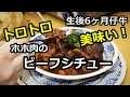 美味すぎ！仔牛のホホ肉ビーフシチュー　[Beef Stew]