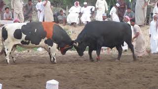 الباهوت ومهاوش سمعها