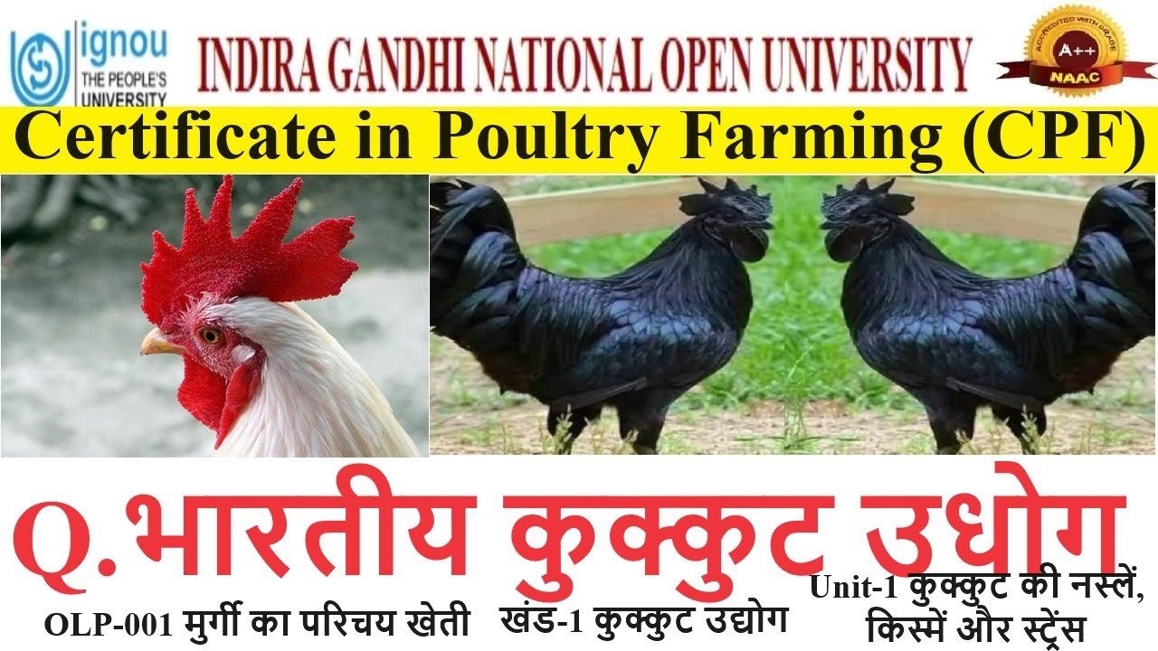 2.IGNOU || CPF || OLP-001 || Block-1 कुक्कुट उधोग  || Unit-1 || Q.भारतीय कुक्कुट उधोग
