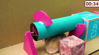 Squid Game vs Hamsterious  PART 3