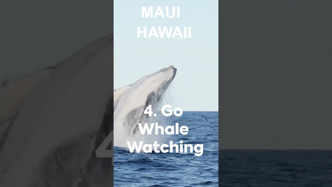 Top 10 Things to Do in Maui, Hawaii 🌴 | Must-See Attractions