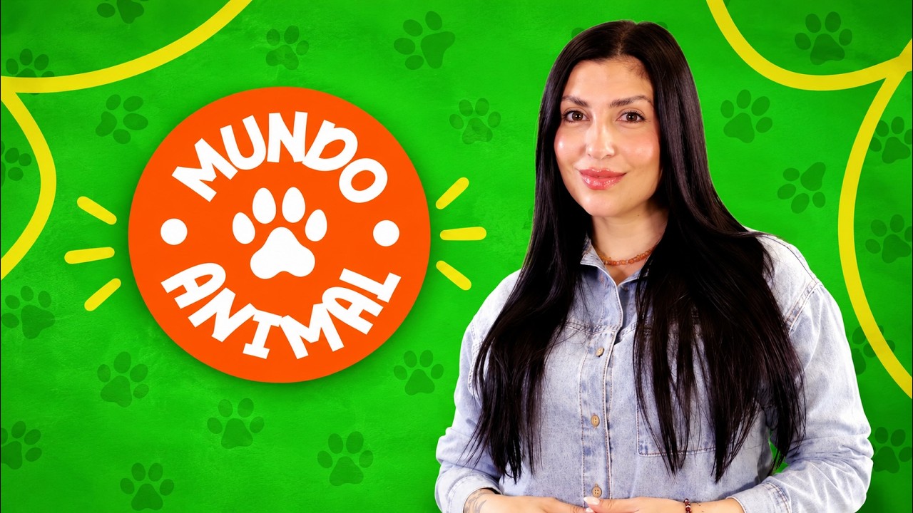 Mundo Animal 11-20-2026