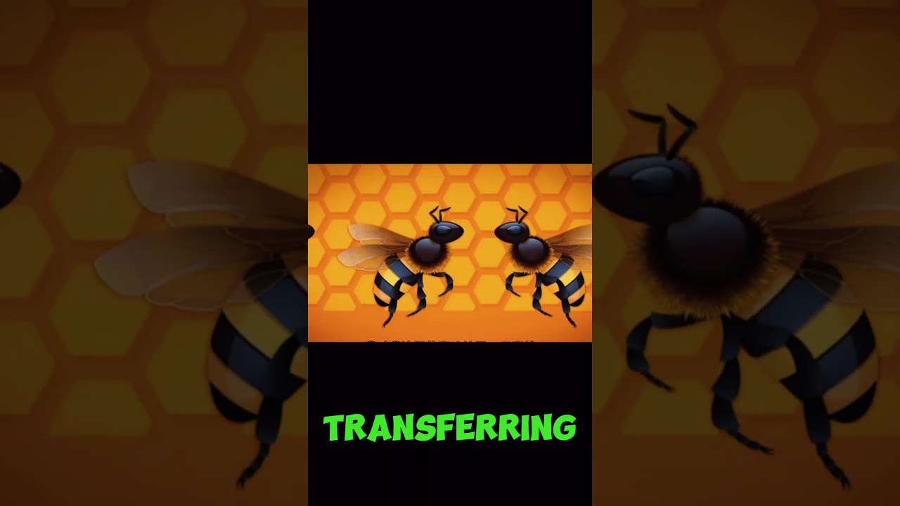 How to Bee's produce Honey 