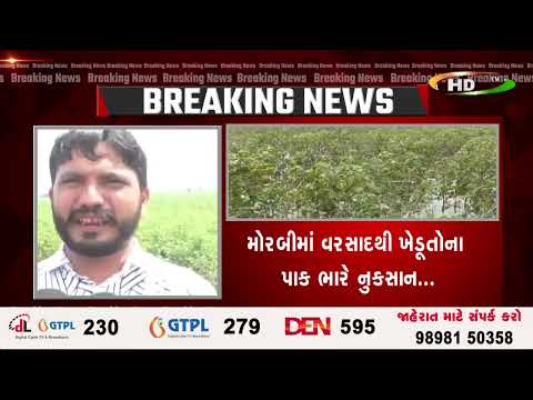 મોરબીમાં વરસાદથી ખેડૂતોના પાક ભારે નુકસાન...