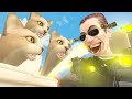 skibidi toilet cat 24🐈🔥( Gman Toilet vs Skibidi Cat ) [SFM]