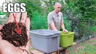 How to Make a Worm Composting Bin, Quick, Simple and Inexpensive Gardening