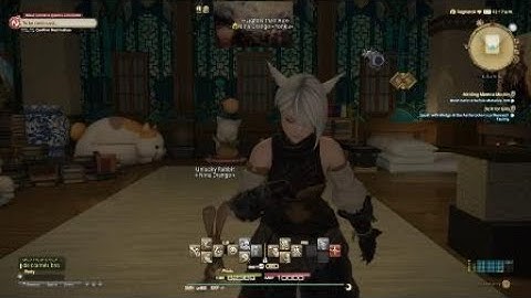 FINAL FANTASY XIV The cute minion^^ Heavy Hatchling-|-Unlucky Rabbit