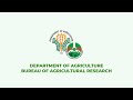 Solar-Powered Hose Reel Irrigation