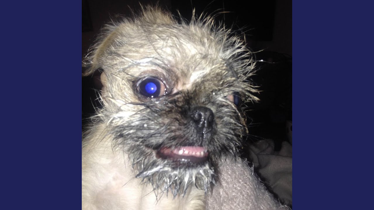 apathy is the adversary of creativity