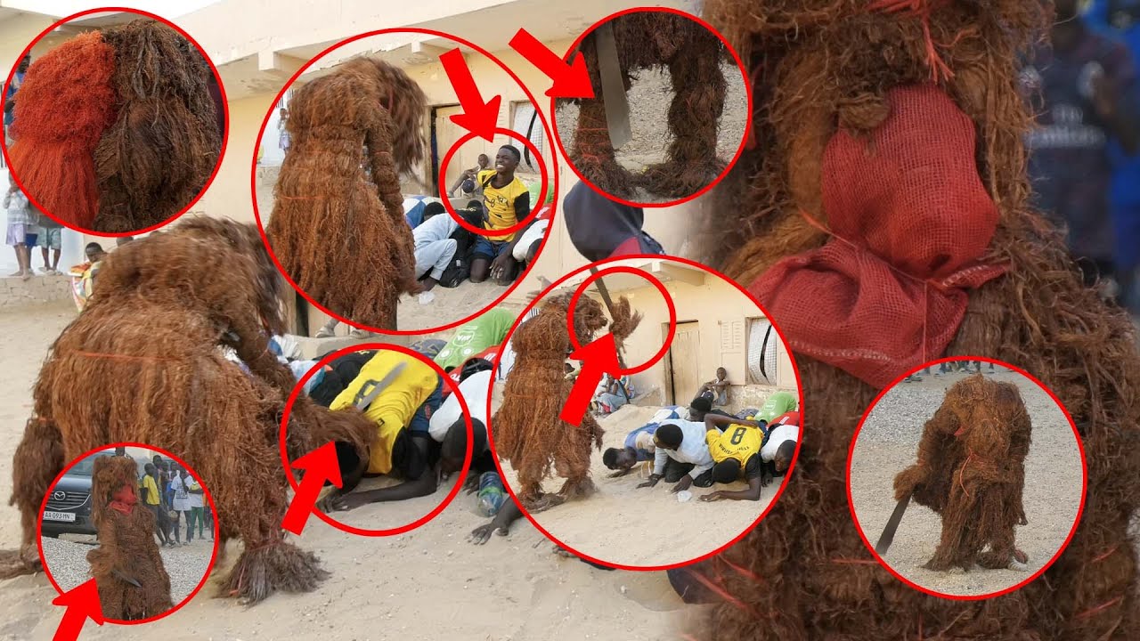 🔴 Du jamais !!! Démonstration mystique du lutteur Ardo qui reçoit les Kankouran de Kolda…