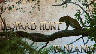 Tanzania Leopard Hunt With Game Trackers Africa