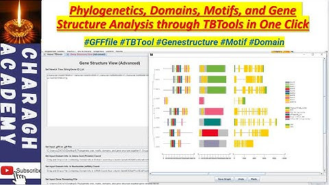 Phylogenetics, Domains, Motifs, and Gene  Structure Analysis through TBTools in One Click