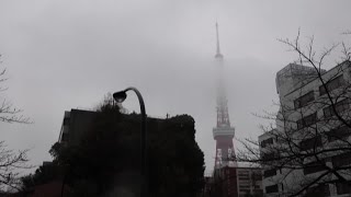 Japan sees surprise slide into recession | REUTERS