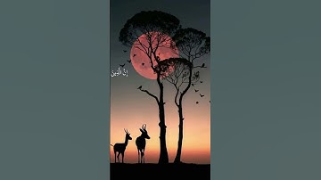 قران كريم بصوت جميل جدا راحه نفسيه#ارح_سمعك #ارح_قلبك  #quranhearts