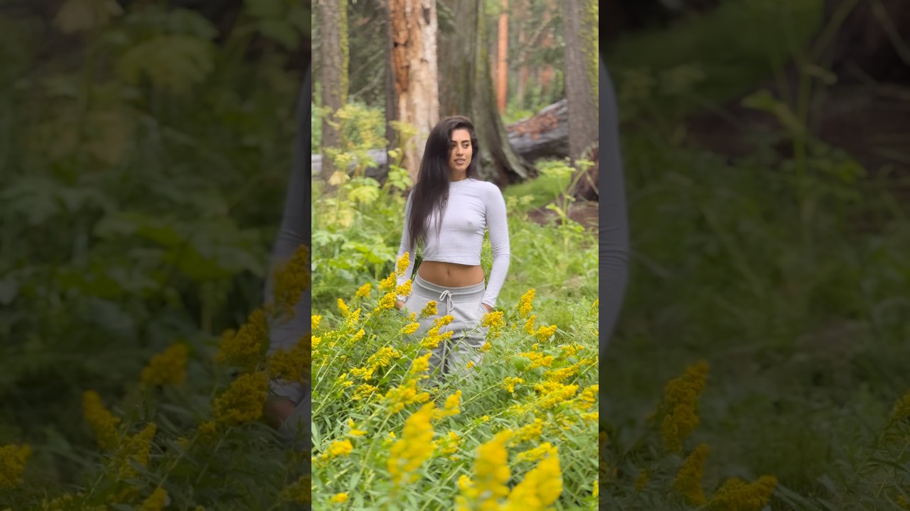 Forest Fairy