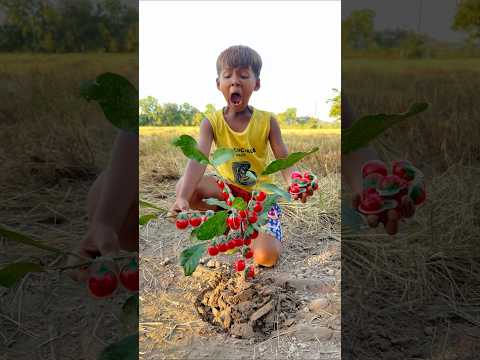 Bushcraft Skills: Clever idea and USEFUL with single mom #bushcraft #camping #outdoors #idea