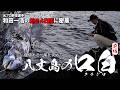 八丈島はイシガキダイの楽園？和田一浩の熱すぎる遠征釣行4日間【前編】