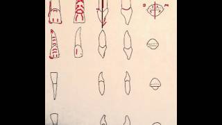 Incisor Teeth